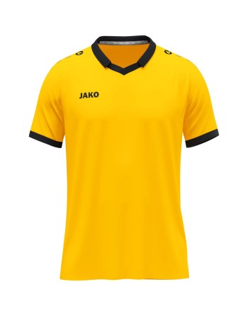 Trikot Glory KA / Polyester-Micro-Mesh